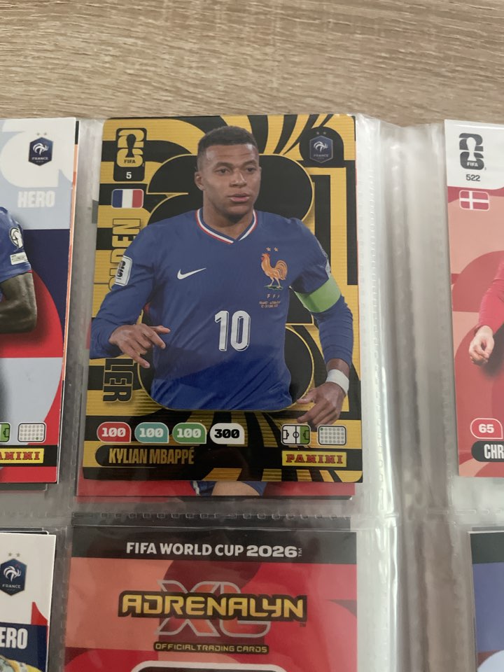 2026 panini karticka